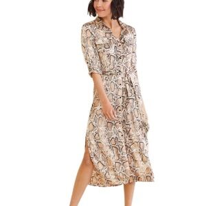 Bb Dakota Python Print Shirt Dress